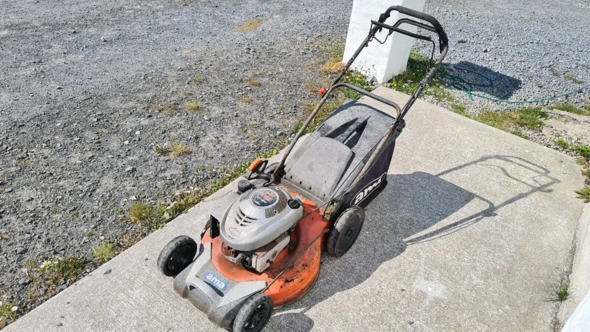 Lawn Moher cheap - Image 1