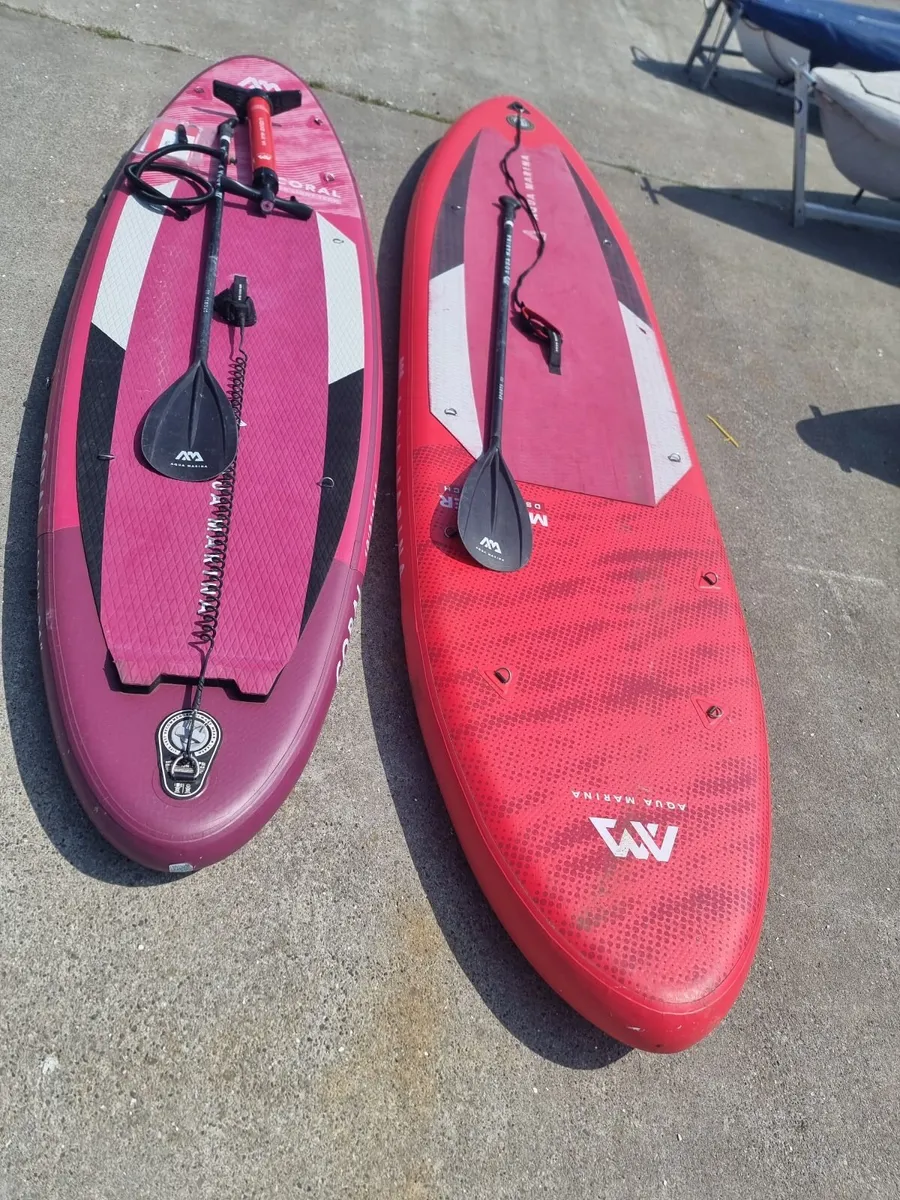 Kayaks and Sup - Image 4