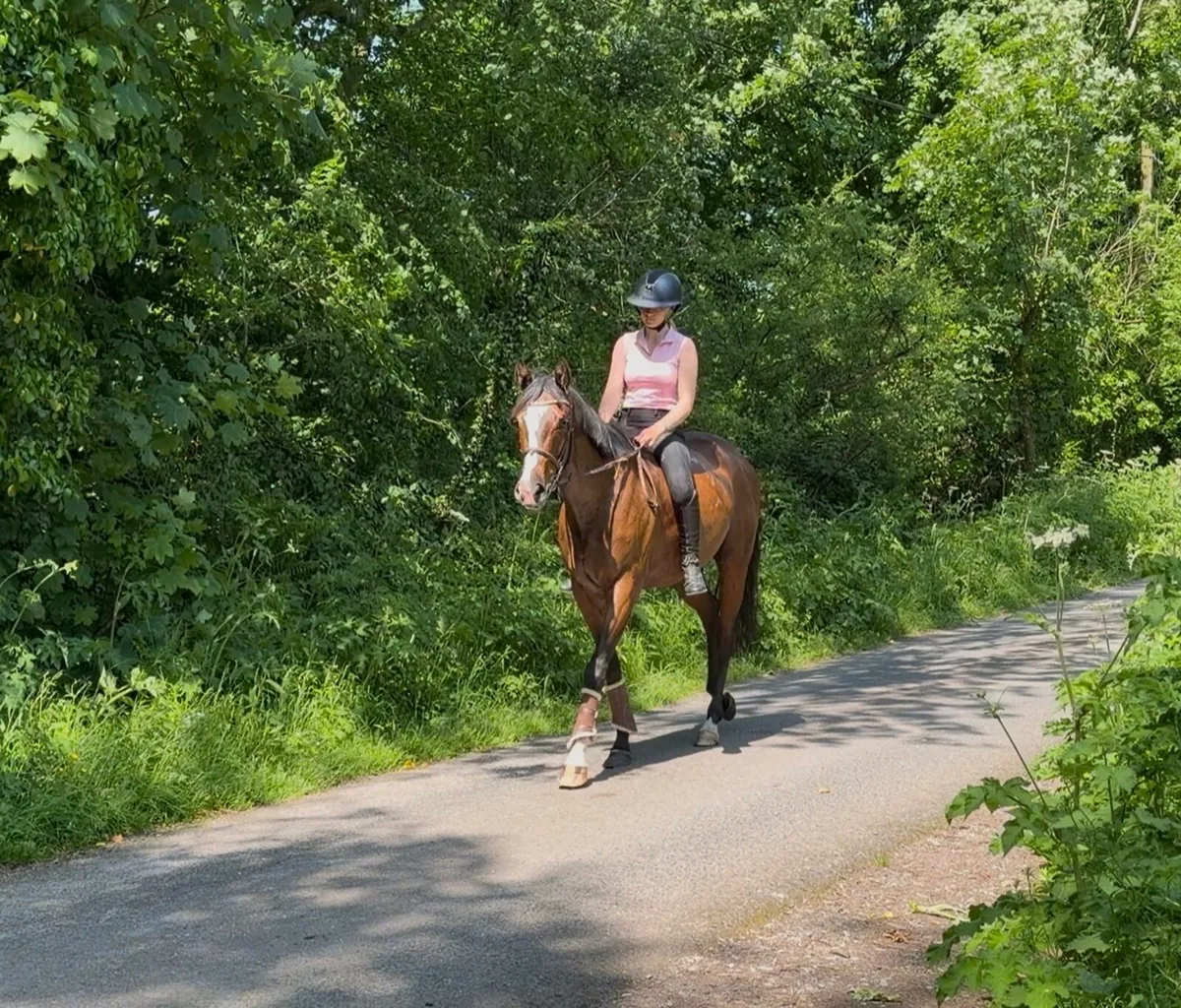 Genuine all rounder - Image 4