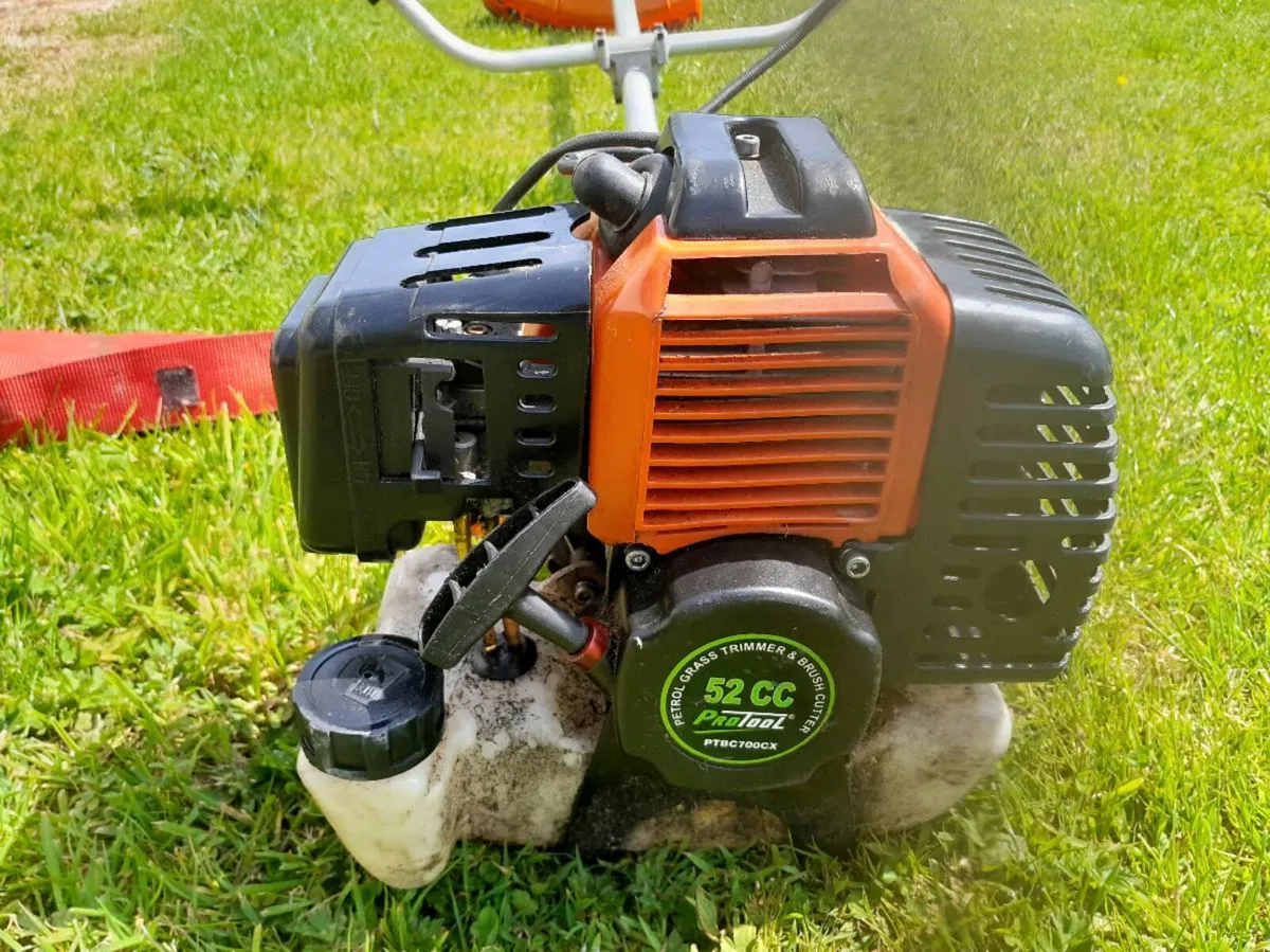 Strimmer - Image 2