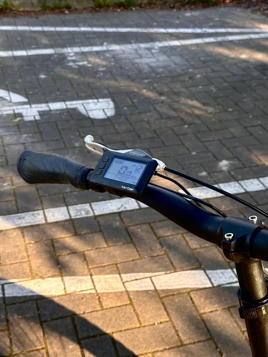 2026 JoboBike - 4months old -Limerick City - Image 2