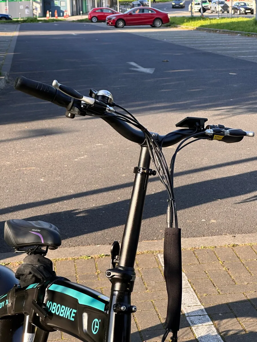 2026 JoboBike - 4months old -Limerick City - Image 3