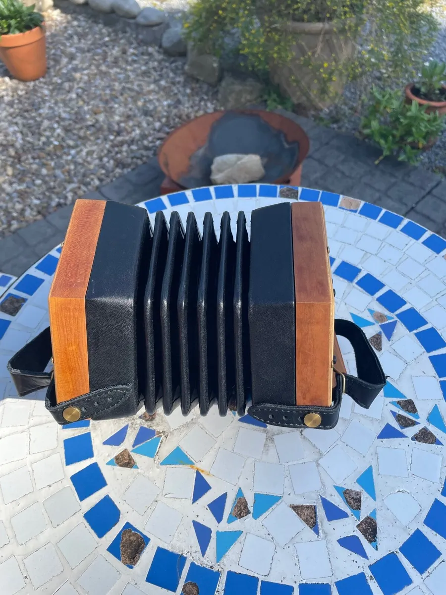 Concertina - Image 3