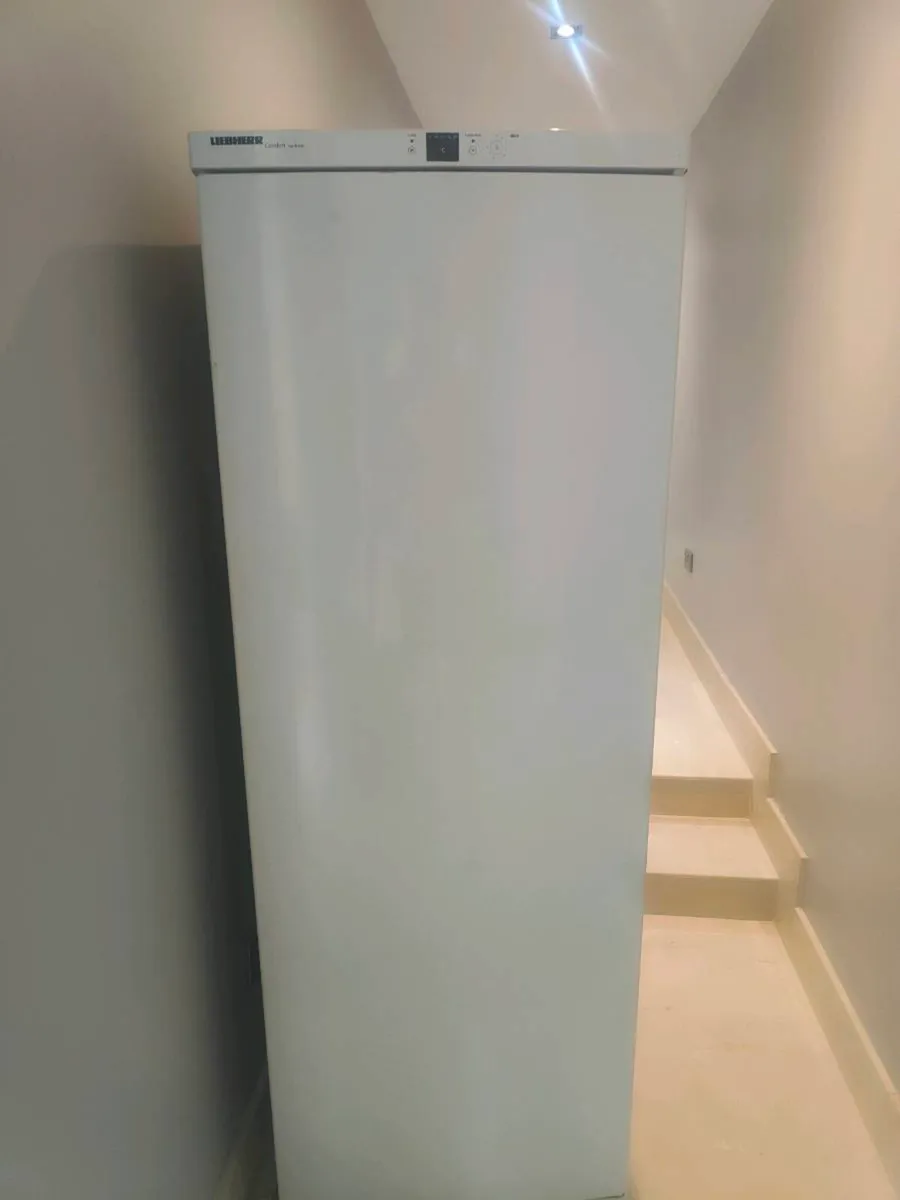 Free - Image 1