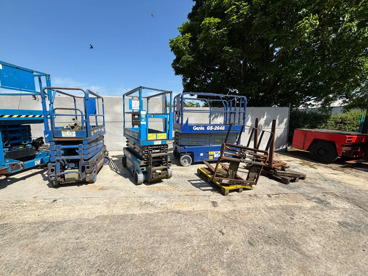 Yard Clearing - Image 1