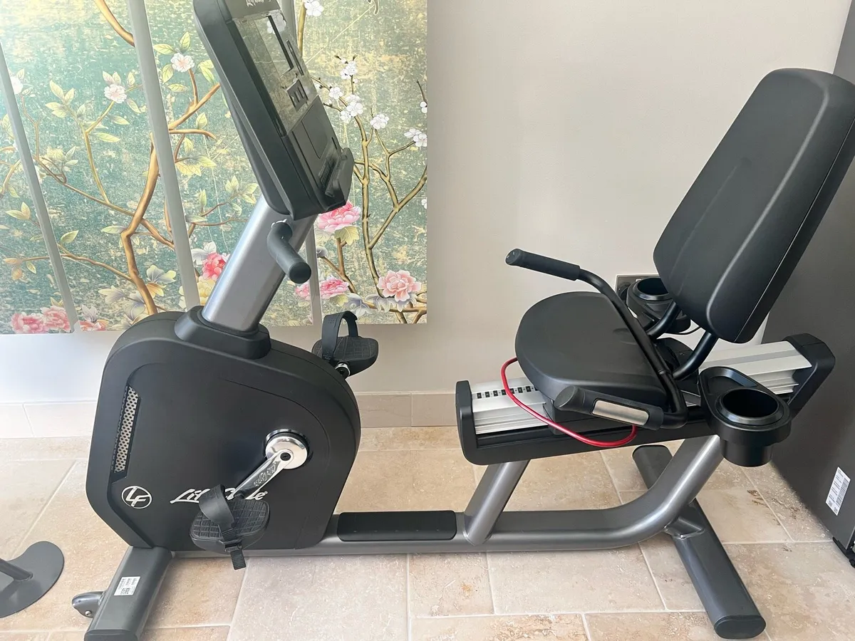 Recumbent Bikes - Image 2