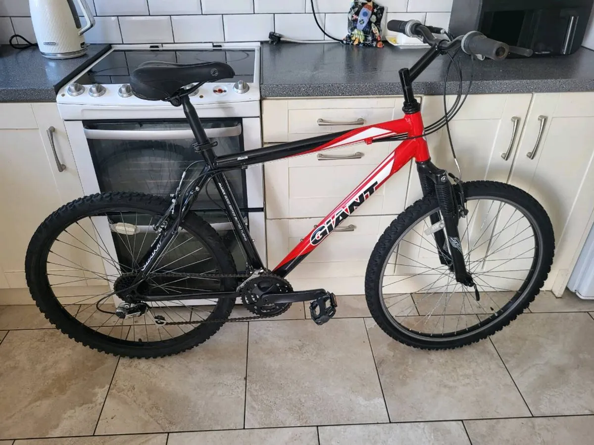 Giant mountain bike - Image 1