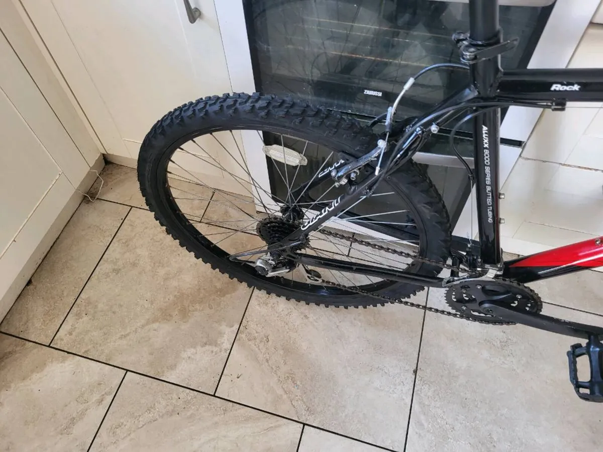 Giant mountain bike - Image 3