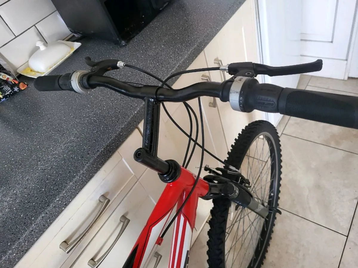 Giant mountain bike - Image 4