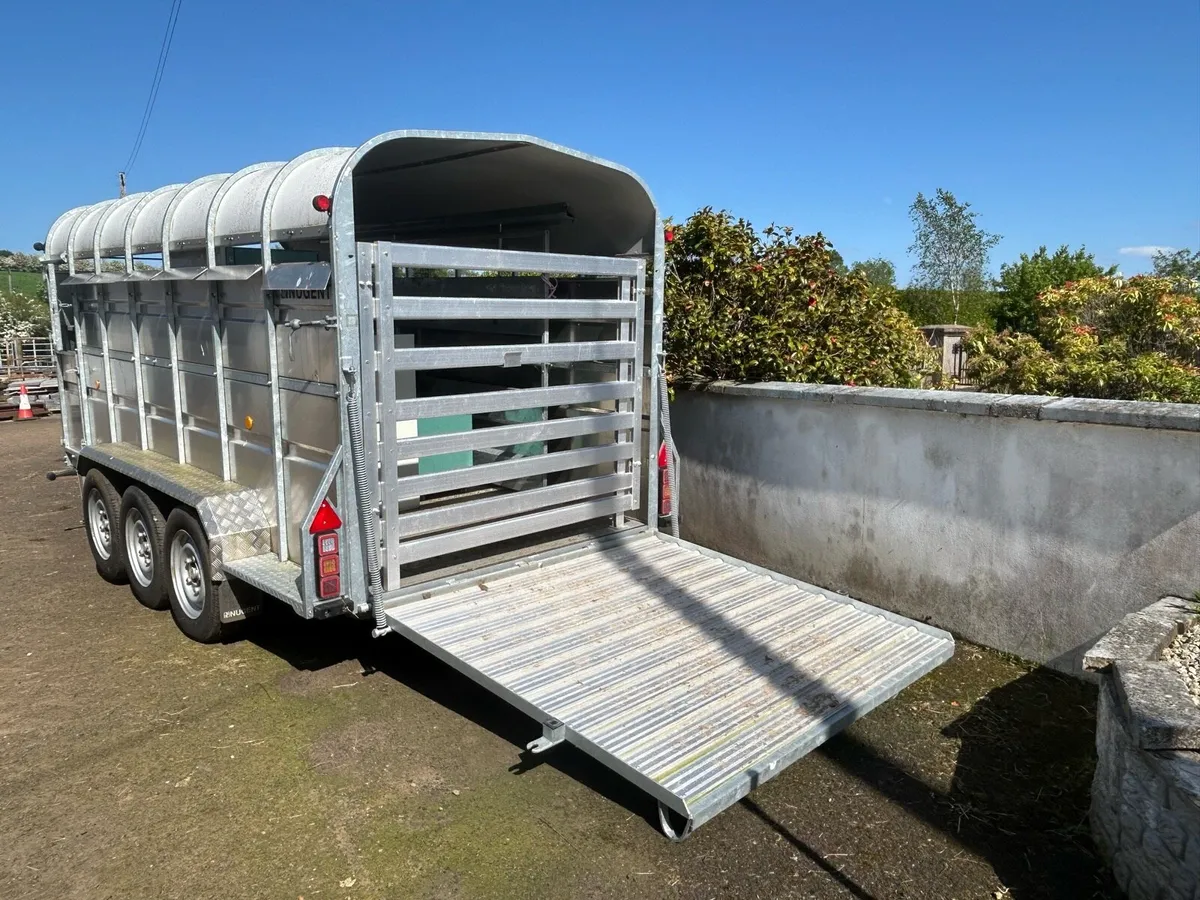 Nugent Tri-Axle Demo Cattle Trailer 14X6 - Image 2