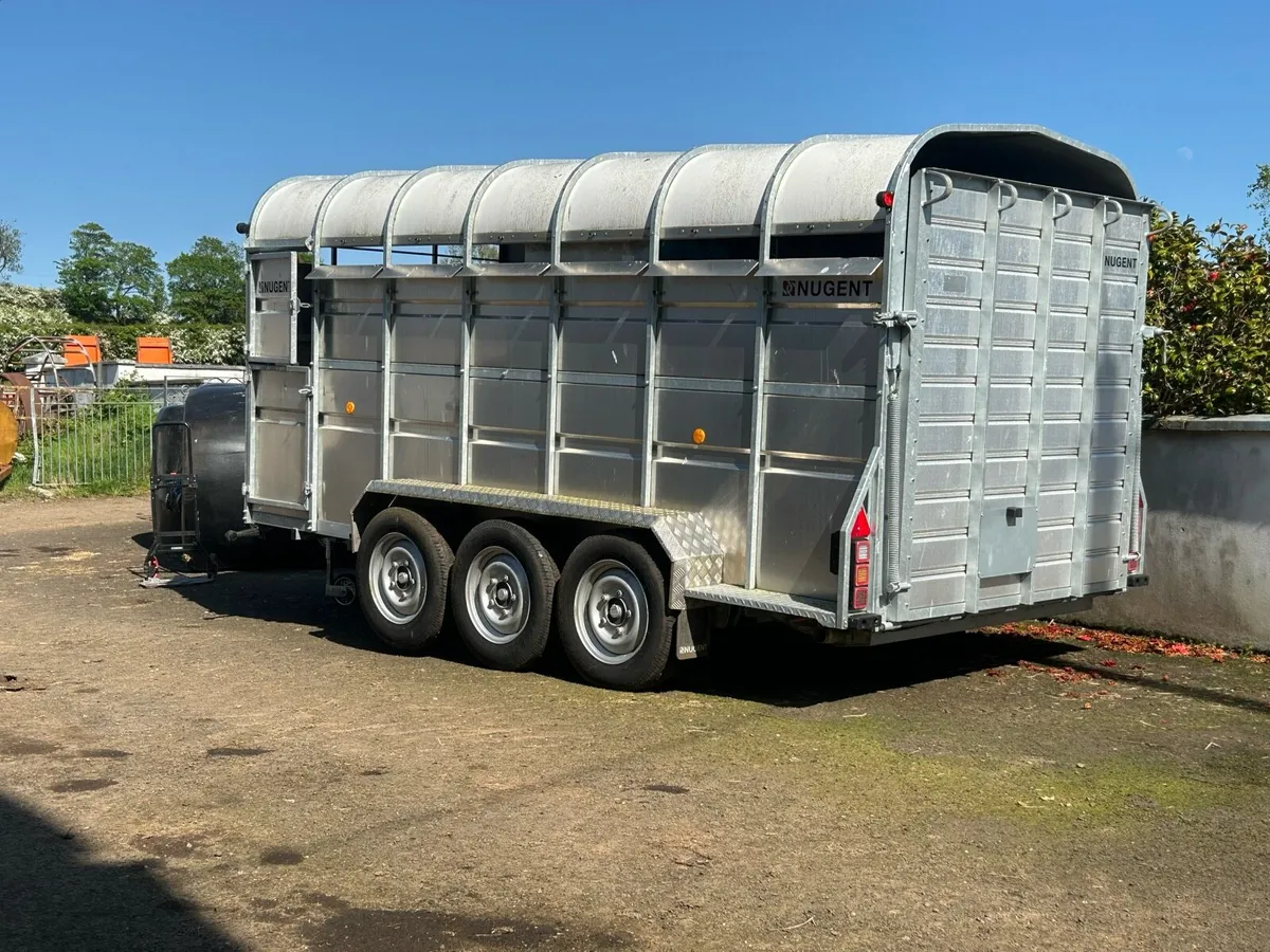 Nugent Tri-Axle Demo Cattle Trailer 14X6 - Image 3