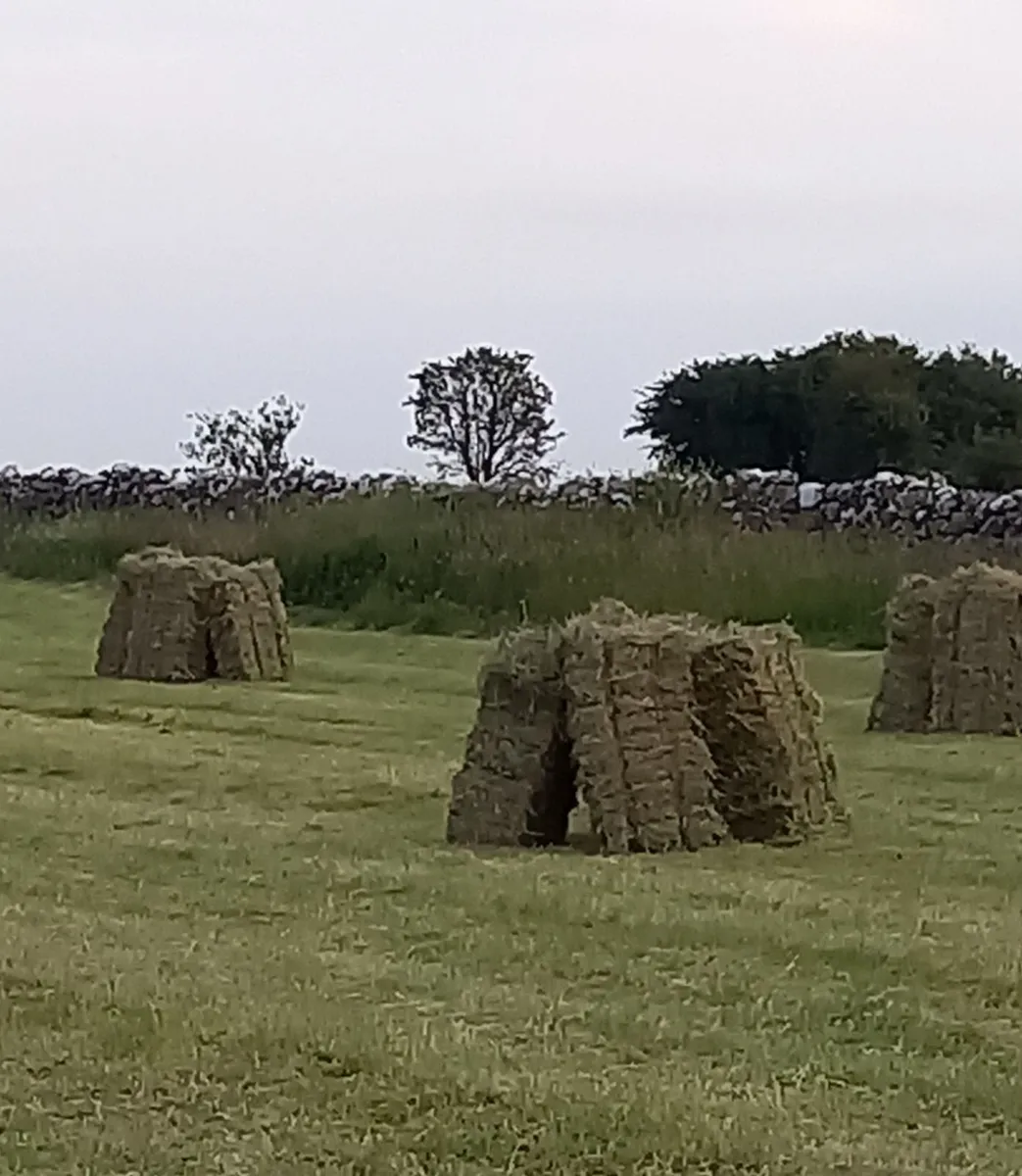 Square bales of 2026 Hay (Dysart) - Image 1