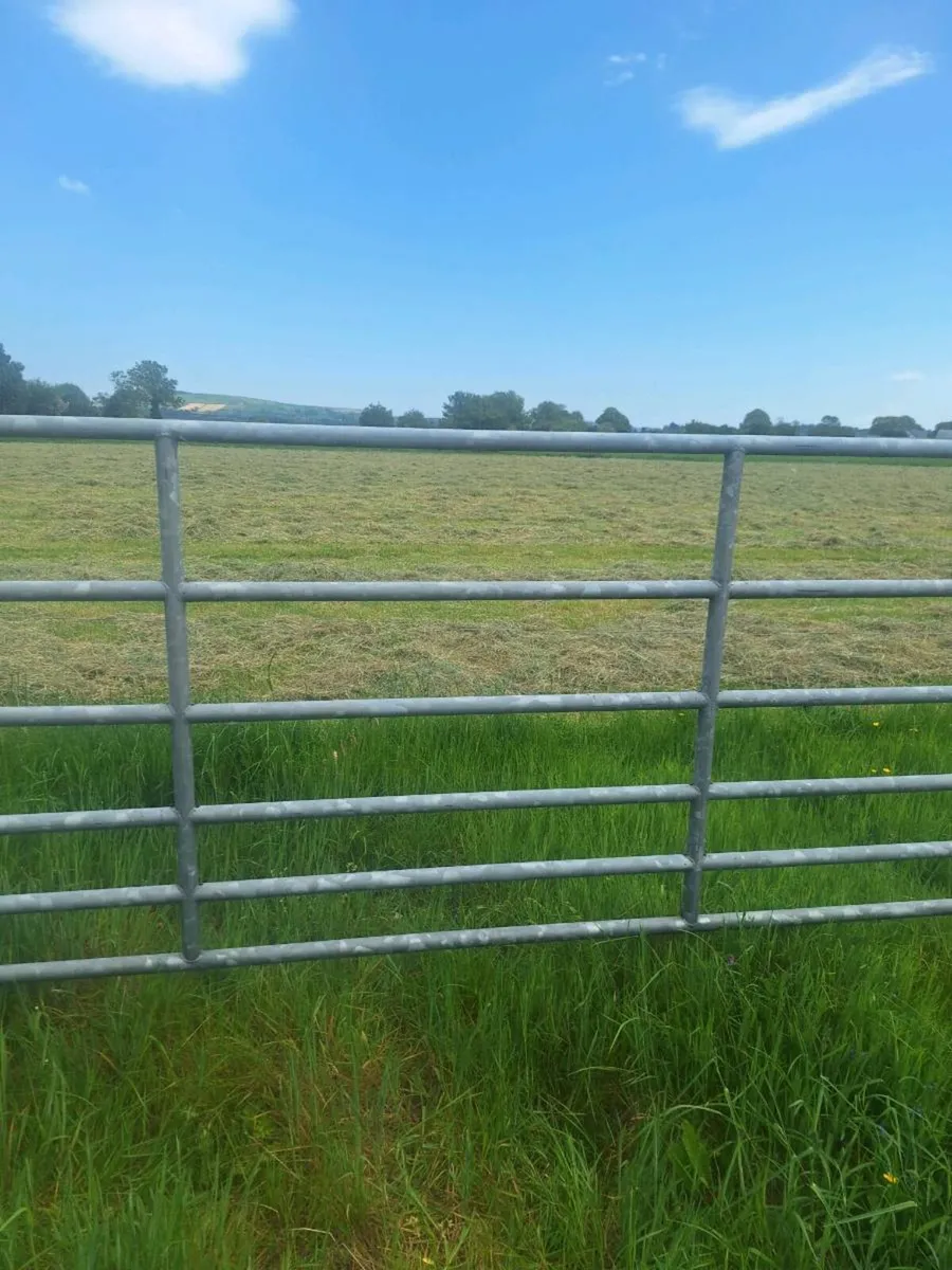 Small square bales - Image 1