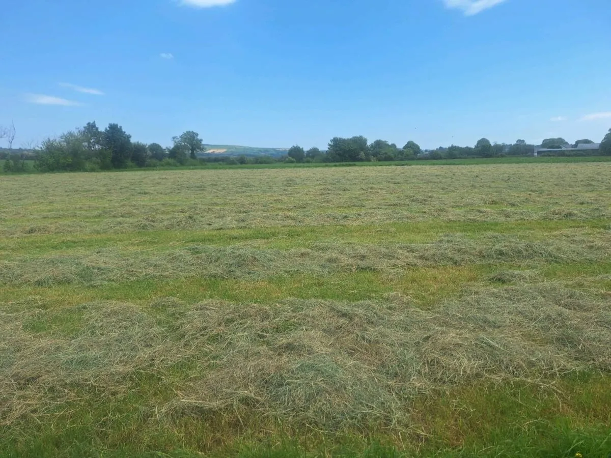 Small square bales - Image 2