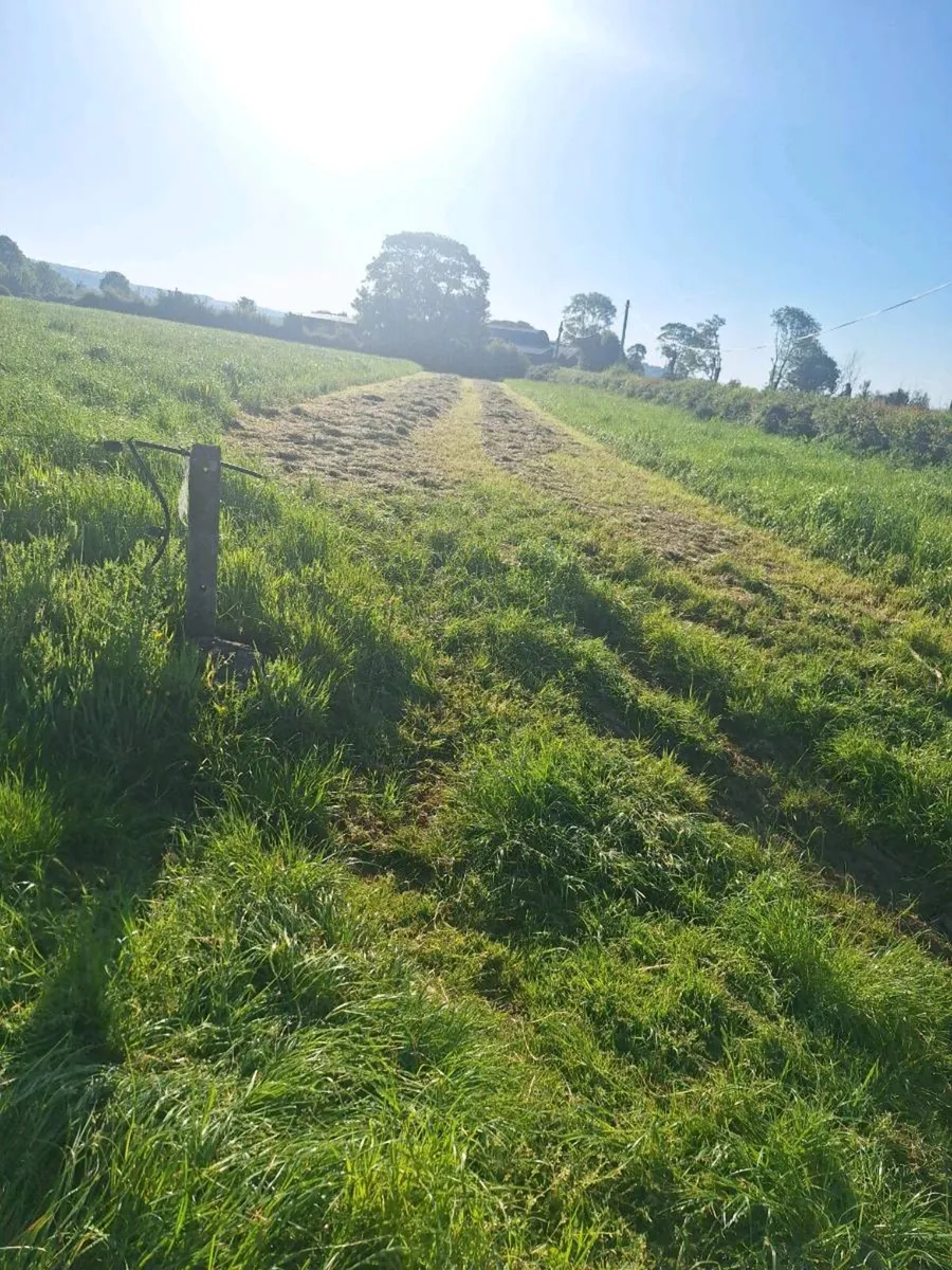 Small square bales - Image 3
