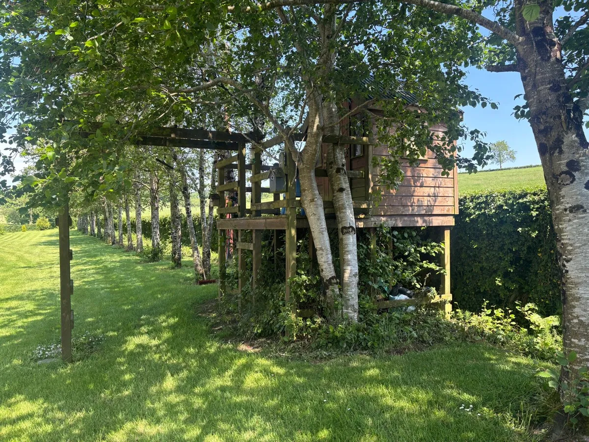 Strong Tree House with Monkey Bars - Image 4