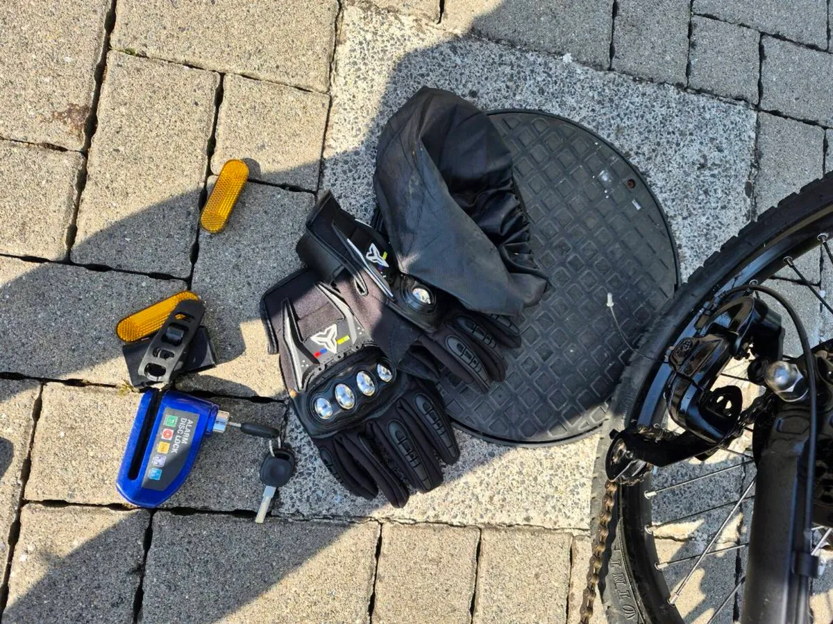 FIIDO FOLDING ELECTRIC BIKE JUST GOT IN YESTERDAY - Image 2