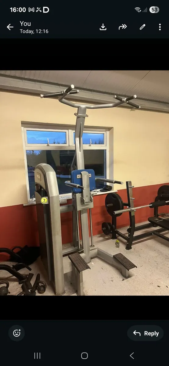 Assisted Pull-up/Dip machine