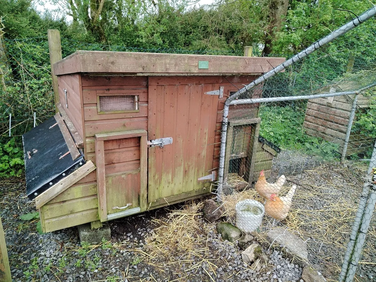 chicken shed well built - Image 1