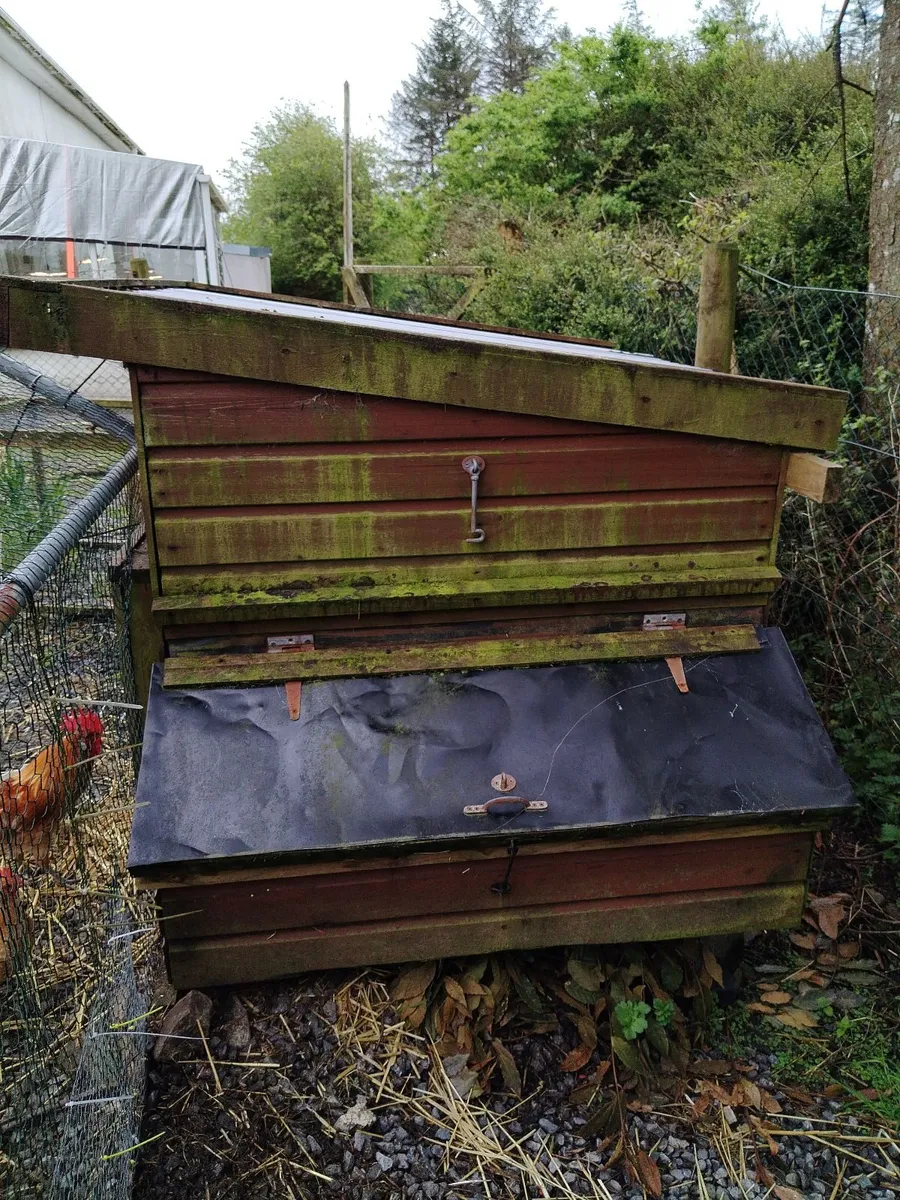 chicken shed well built - Image 3