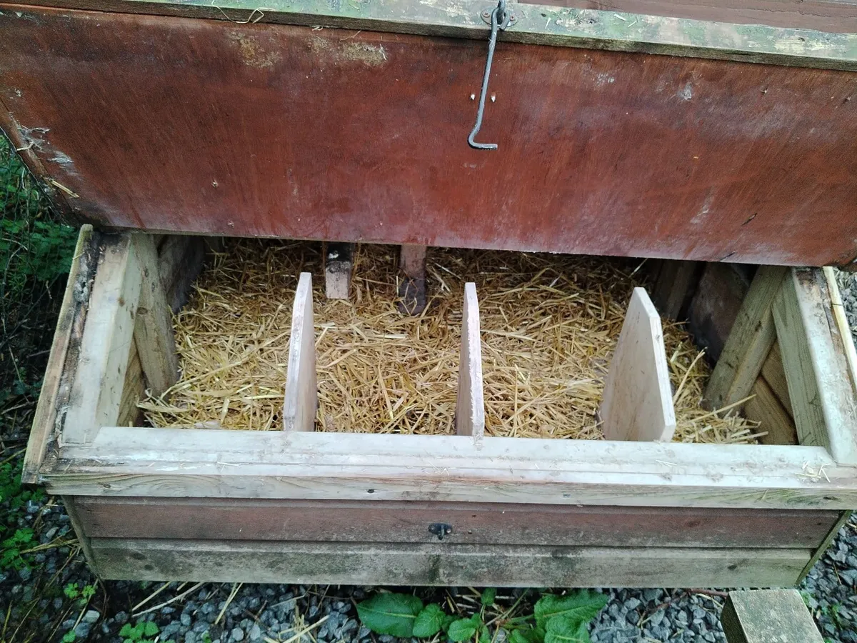 chicken shed well built - Image 2