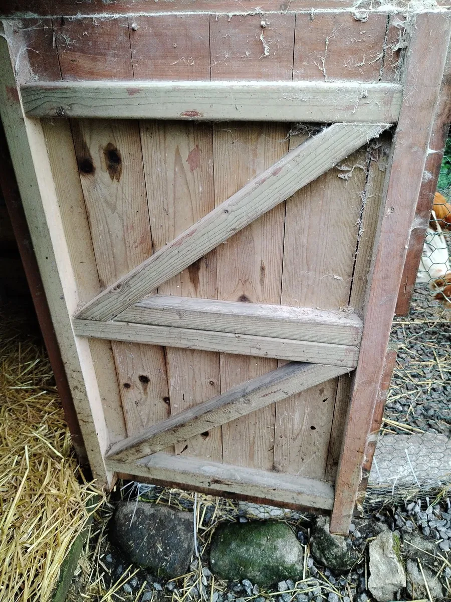 chicken shed well built - Image 4