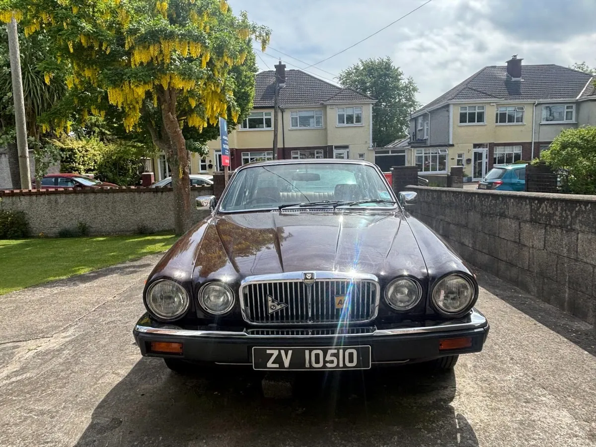 1983 Jaguar XJ6 Series 3 4.2 Auto — 68k Miles - Image 3
