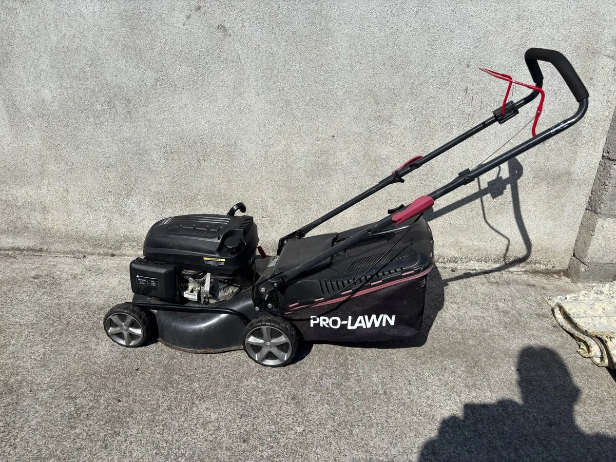2 lawnmowers - Image 1