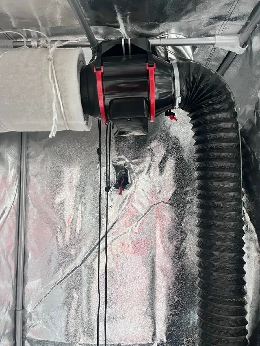 grow tent - Image 2