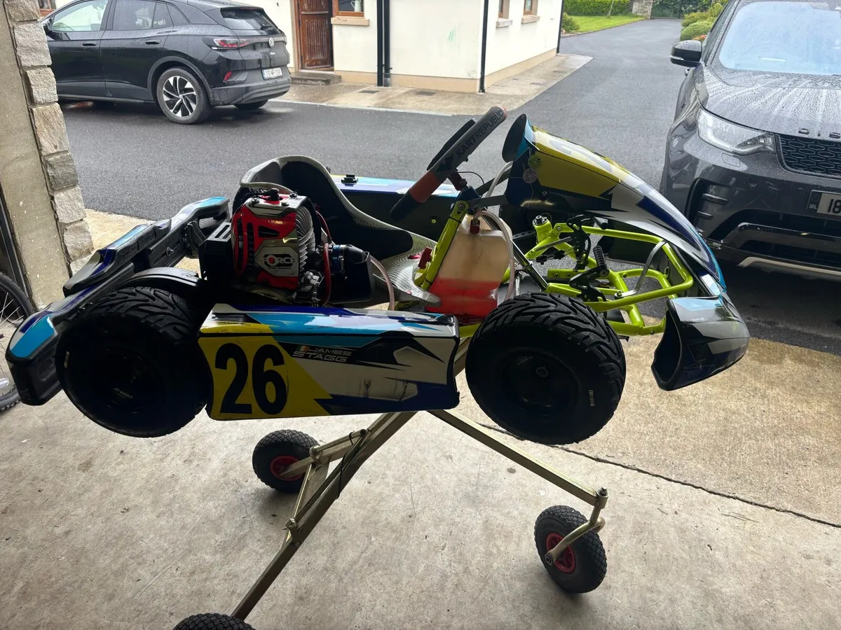 Championship Winning Synergy Bambino Kart - Image 2