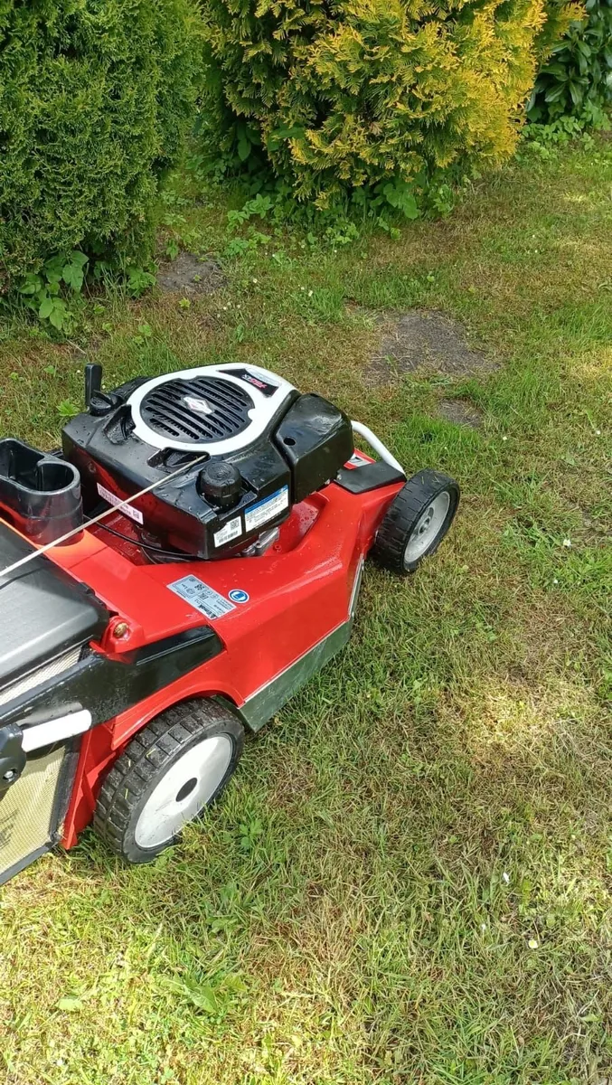 Efco mower - Image 2