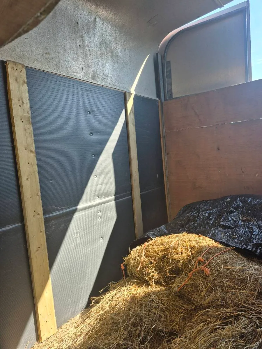 Hors box - Image 4