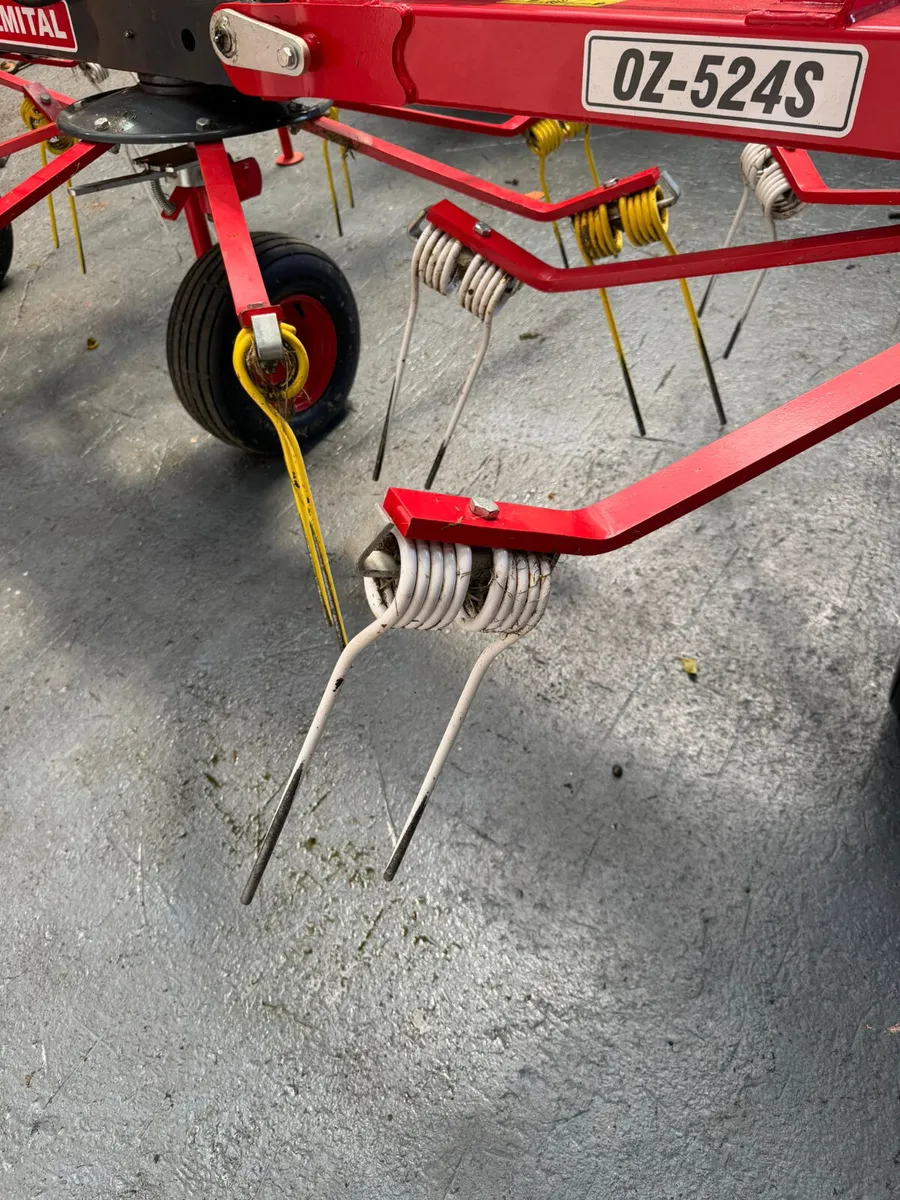 4 Rotor Tedder - Image 4