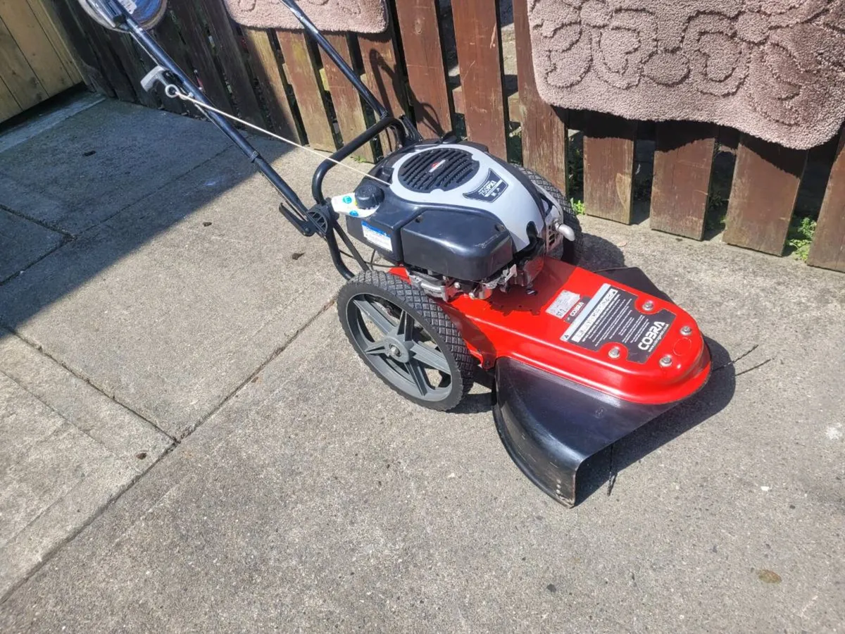 Cobra walk behind strimmer - Image 2