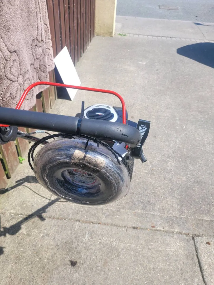 Cobra walk behind strimmer - Image 3