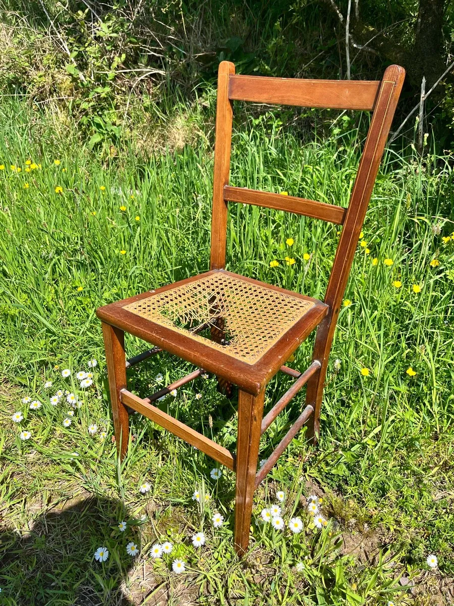 Edwardian Cane Seat Chair - Image 1