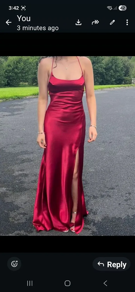 Debs Dress - Image 4
