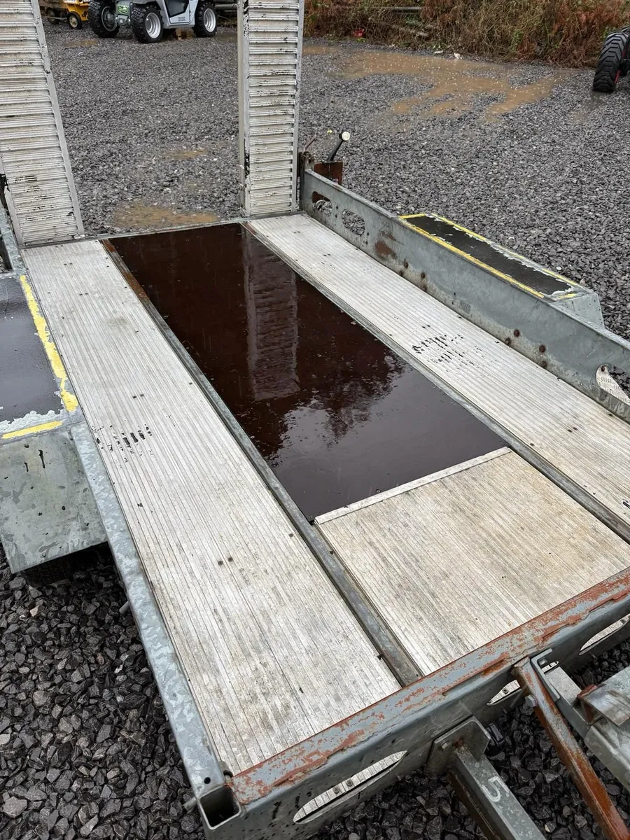 Indespension 10' x 5'7" Alumax Plant Trailer - Image 4