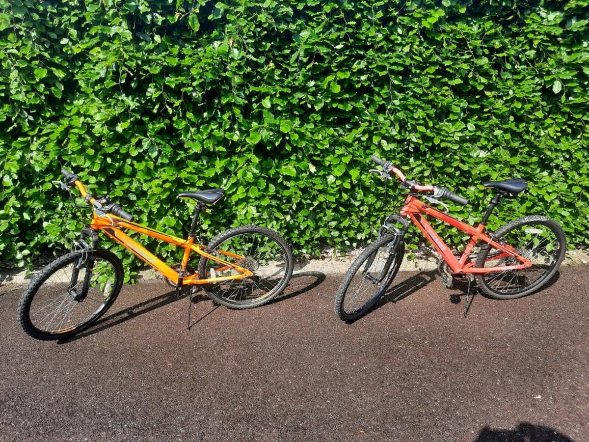 Bikes - Image 1