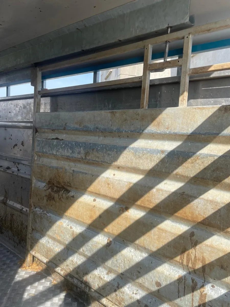 Tuffymac tri axle cattle trailer - Image 2