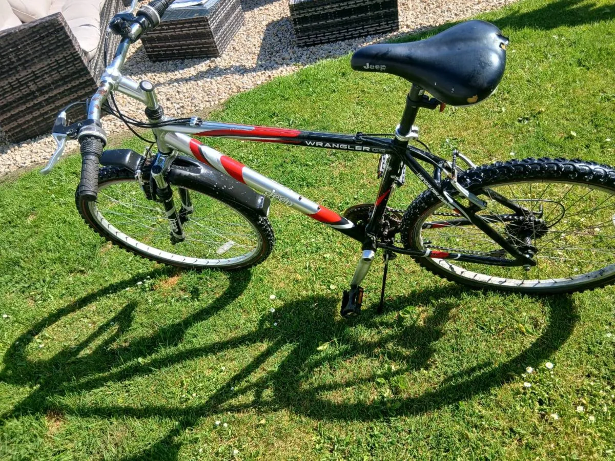 ADULTS BIKE - Image 2