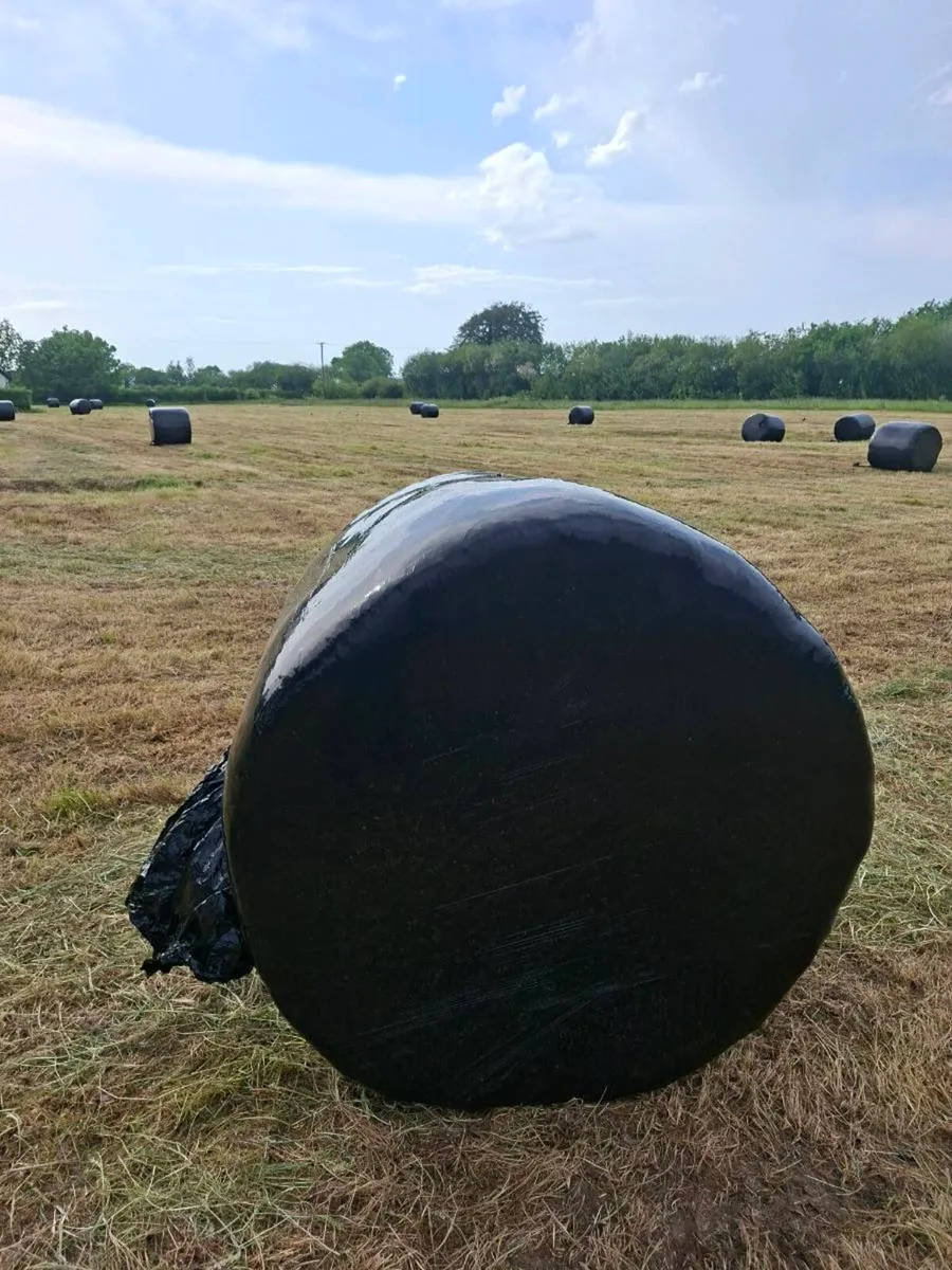 Silage Bales 2026 crop - Image 2