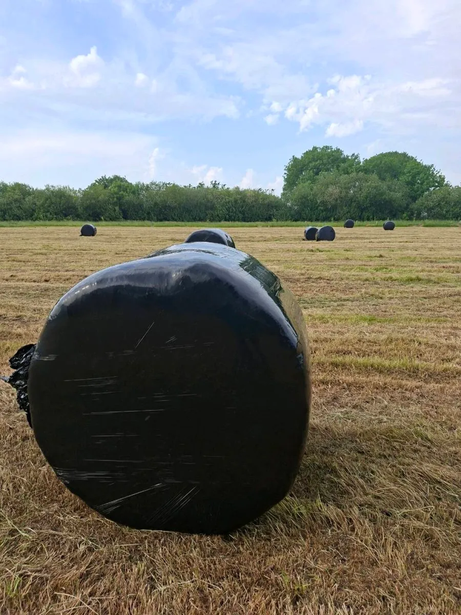Silage Bales 2026 crop - Image 1