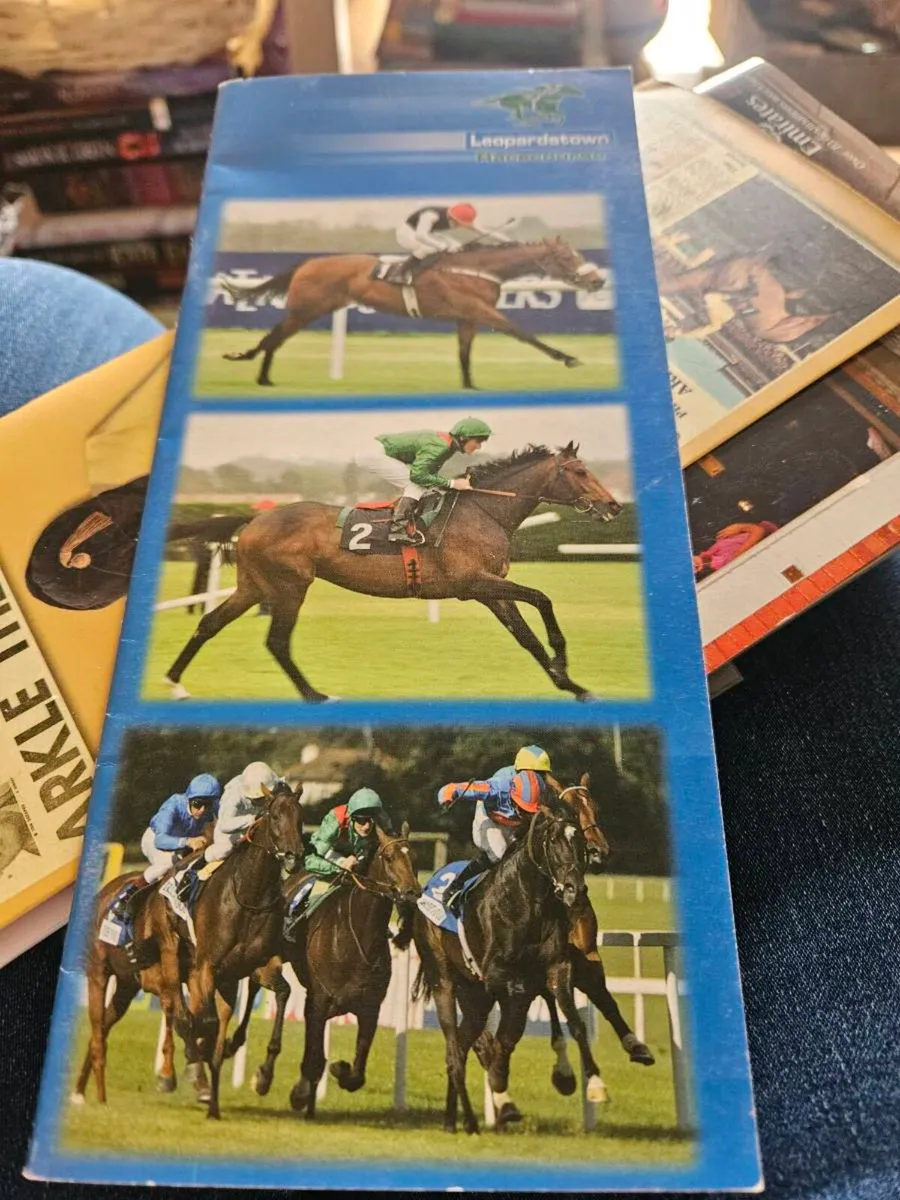 Mixed Lot of Horse Racing Programmes and Cards etc - Image 1