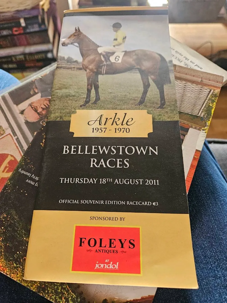 Mixed Lot of Horse Racing Programmes and Cards etc - Image 2