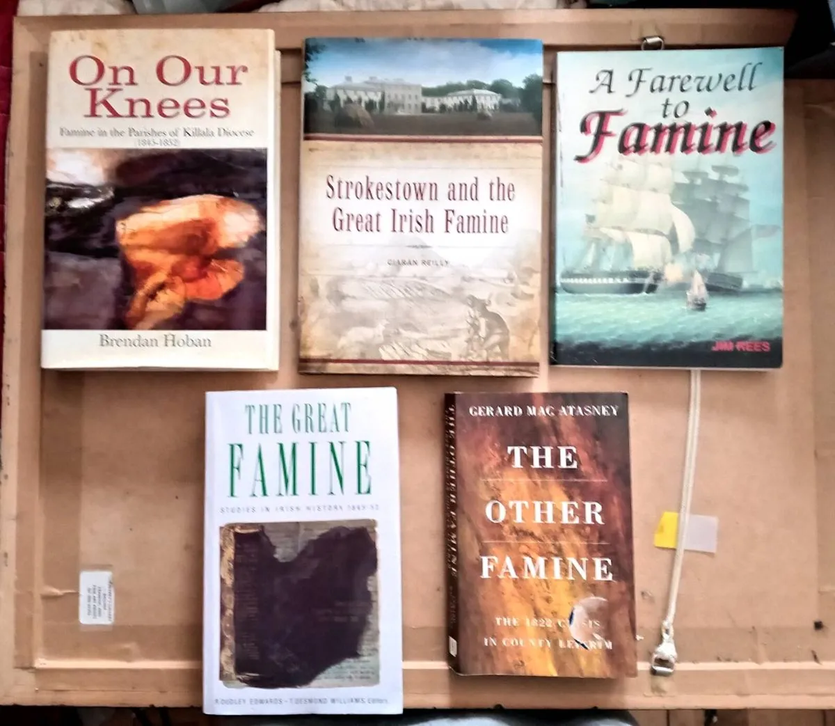 Five Irish Famine Books