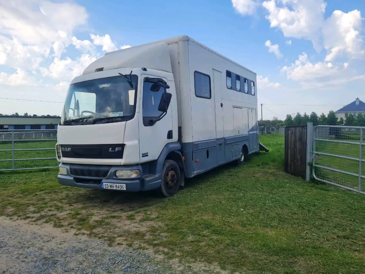 2003 DAF horse truck - Image 1