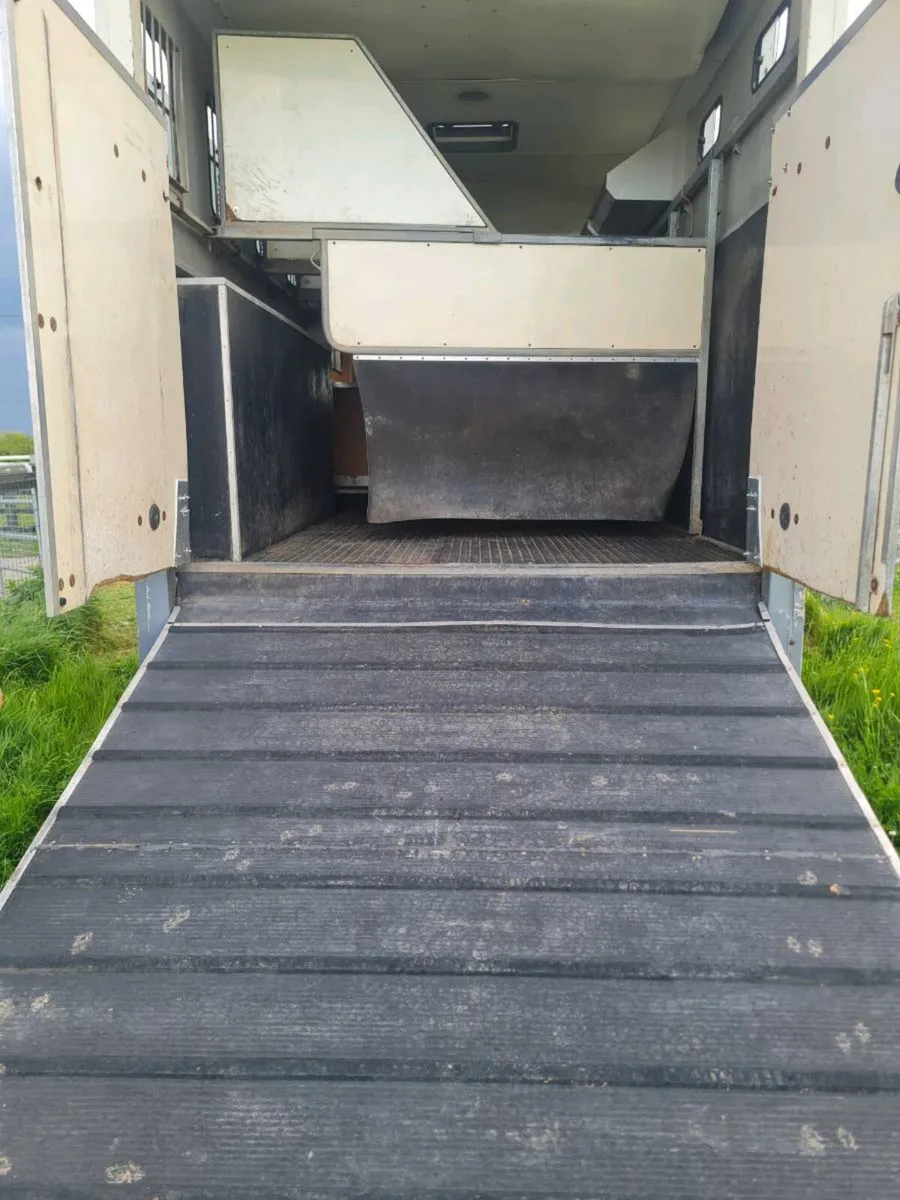 2003 DAF horse truck - Image 4