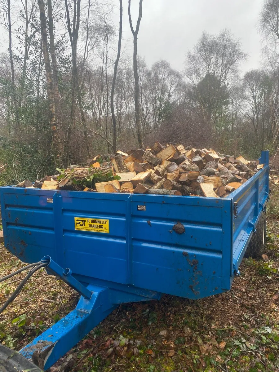 Dry hardwood - Image 1