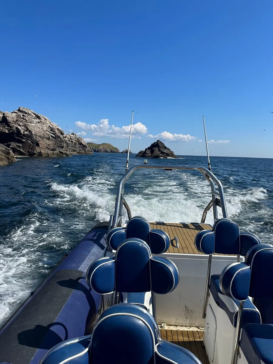 9.2m Excalibur Rib, inboard Diesel - Image 4